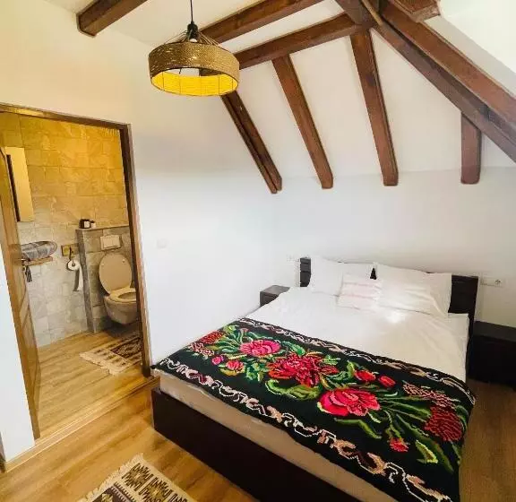 ペンション Casa Moroșanului Vișeu De Sus