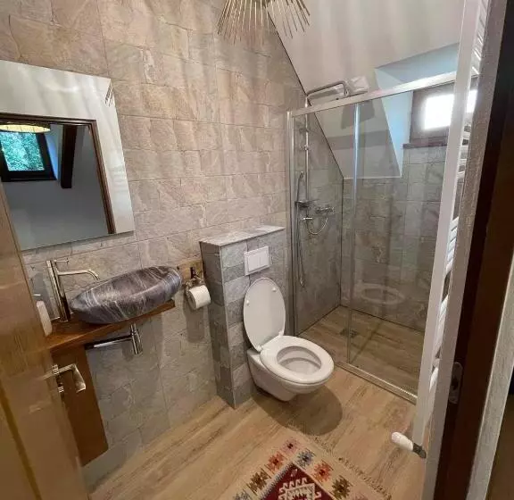 ペンション Casa Moroșanului Vișeu De Sus