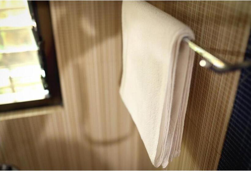 Отель Apples Balaji Inn