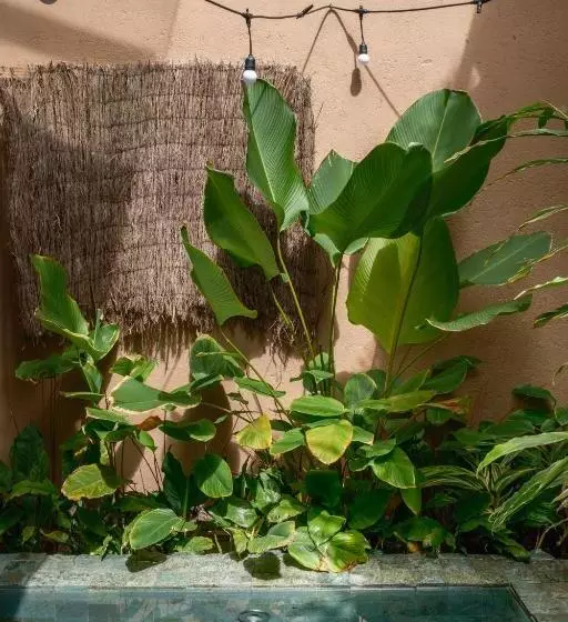 ペンション Casa Das Conchas Caraiva