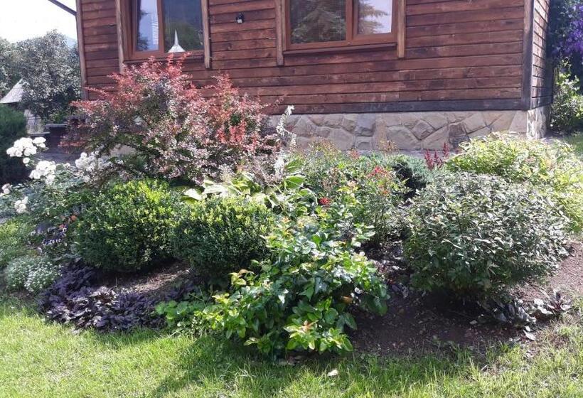 Szálló у тарнавских