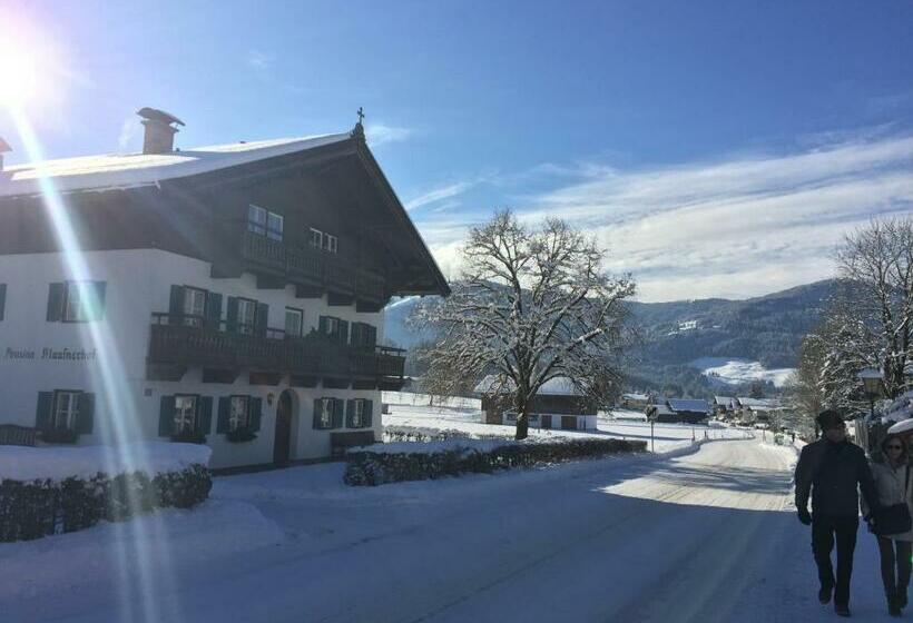 Bed and Breakfast Pension Klausnerhof