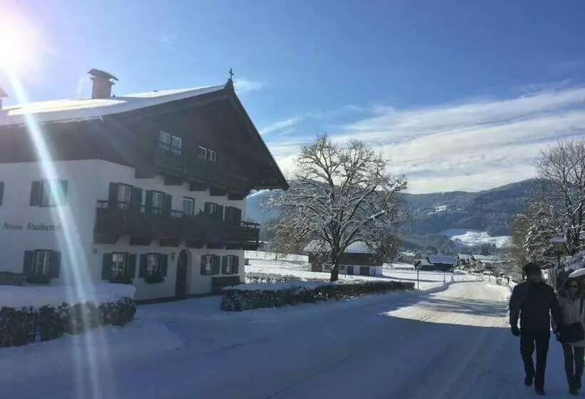 Aamiaismajoitus (B&B) Pension Klausnerhof