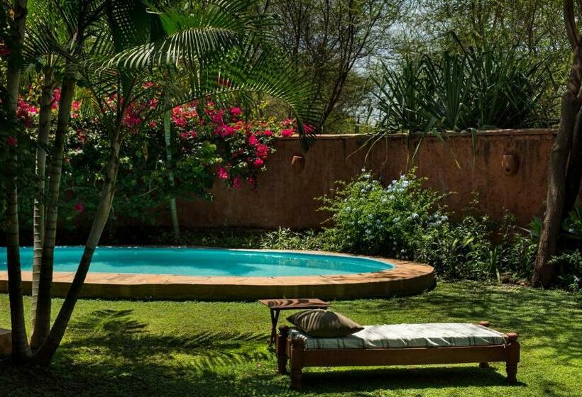 渡假胜地 Kili Villa Kilimanjaro Luxury Retreat