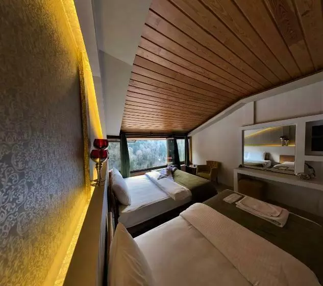 هتل Ayder Wooden Rooms