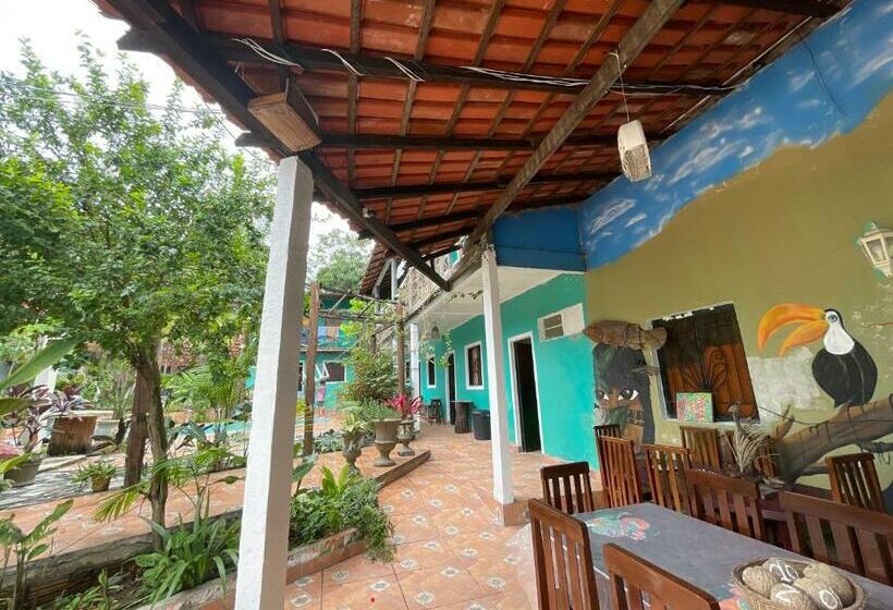 פנסיון Arapiri Guest House