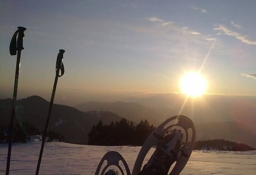 Berghotel Jochgrimm   Your Dolomites Home