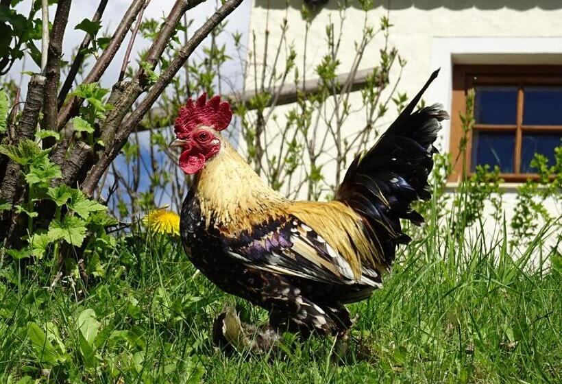 Bio Erlebnis Bauernhof Thonnerhof