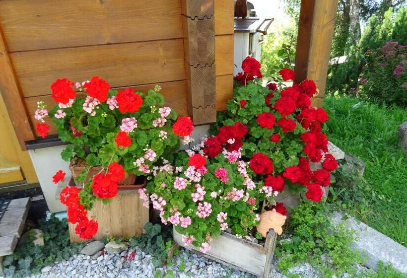 Bio Erlebnis Bauernhof Thonnerhof