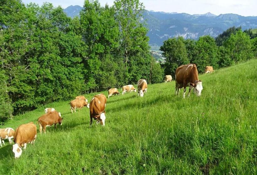 Bio Erlebnis Bauernhof Thonnerhof