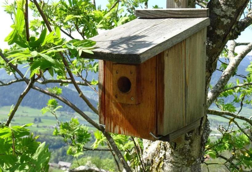 Bio Erlebnis Bauernhof Thonnerhof