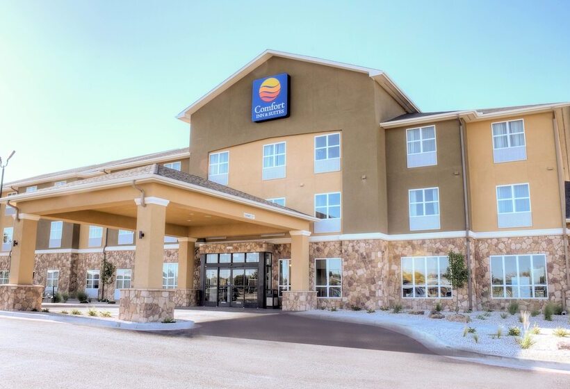 호텔 Comfort Inn & Suites Artesia