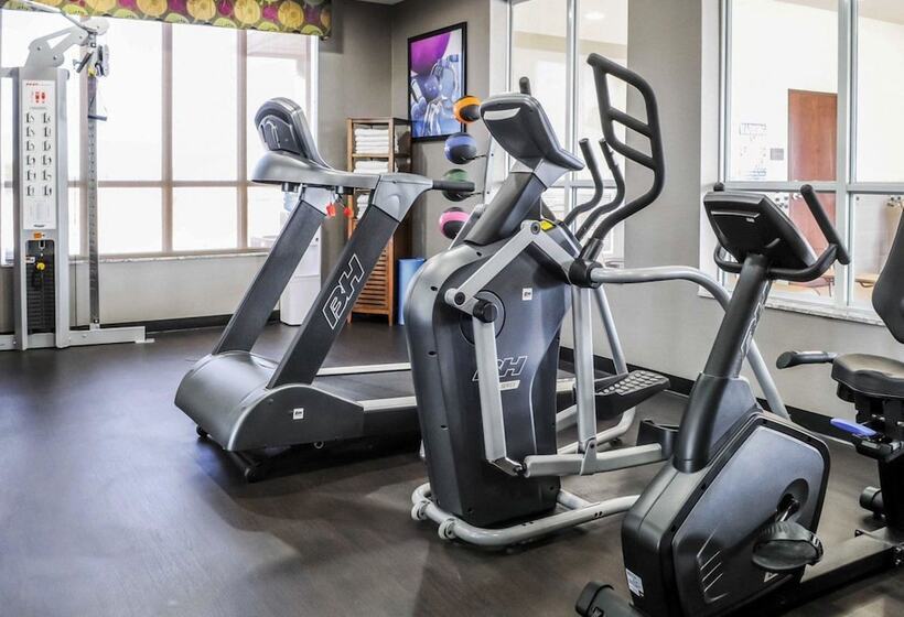 호텔 Comfort Inn & Suites Artesia