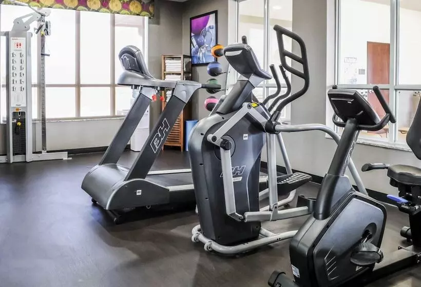 Отель Comfort Inn & Suites Artesia