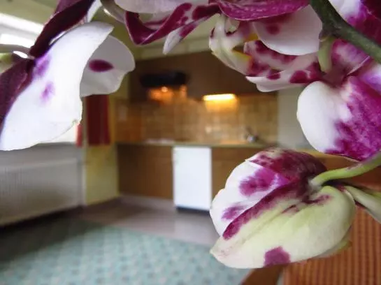 Отель Haus Glätzle Helene