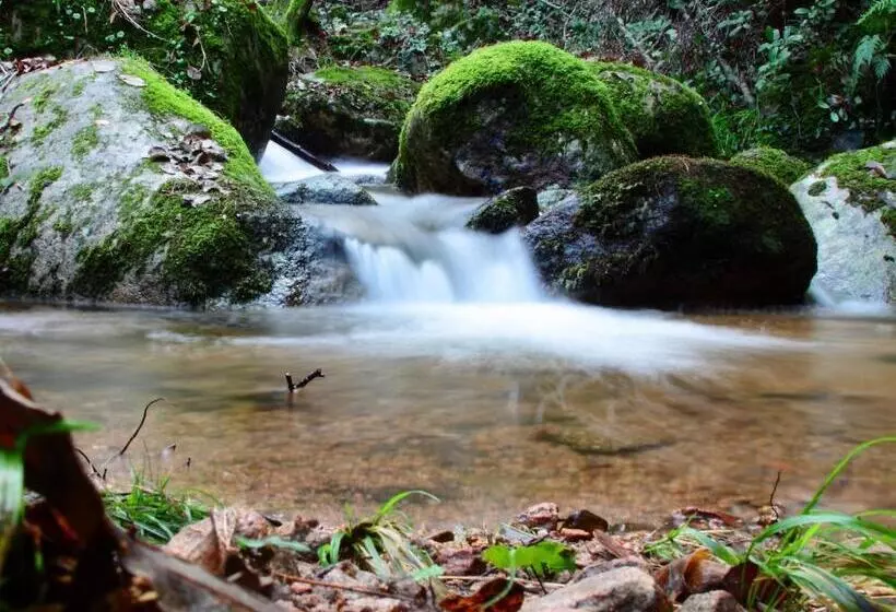 ホテル L Agnata Di De André Boutique