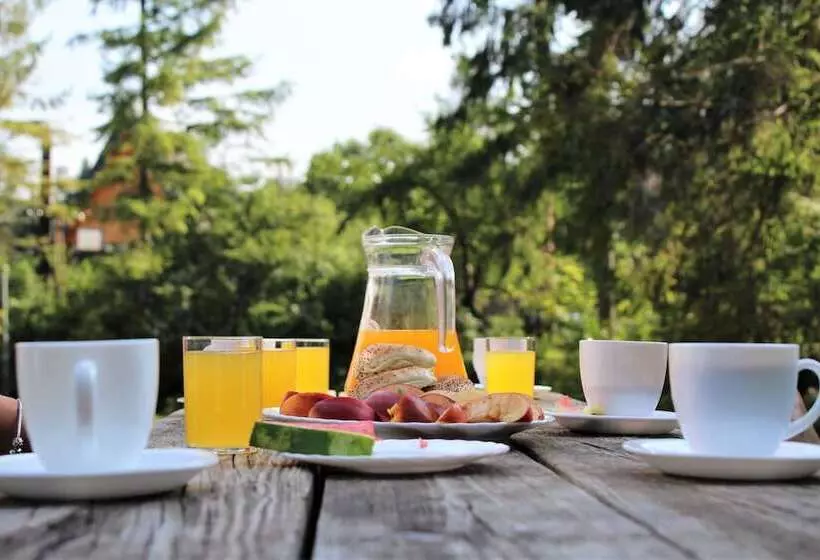 Hotel Zespół Dolina Białego Willa Pan Tadeusz