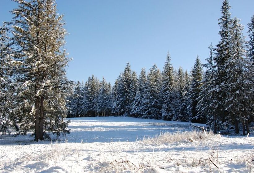 호텔 Zespół Dolina Białego Willa Pan Tadeusz