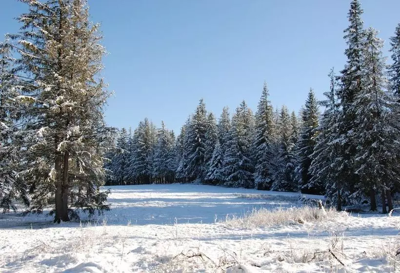 Hotel Zespół Dolina Białego Willa Pan Tadeusz