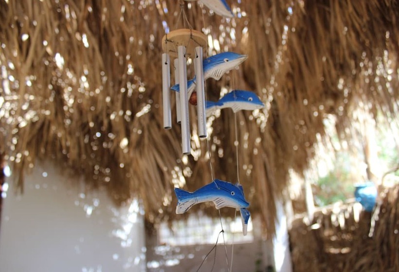 پانسیون Rayhana Guest House