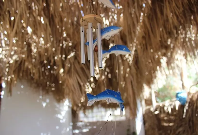 پانسیون Rayhana Guest House