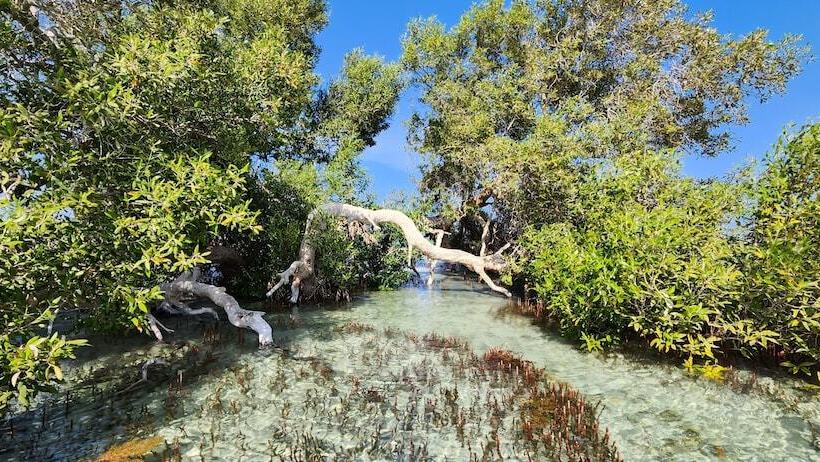 پانسیون Rayhana Guest House