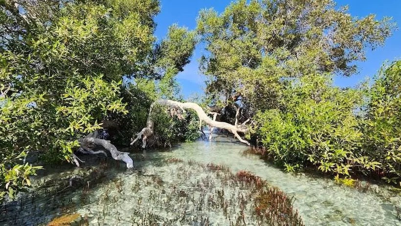 پانسیون Rayhana Guest House