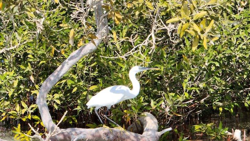 پانسیون Rayhana Guest House