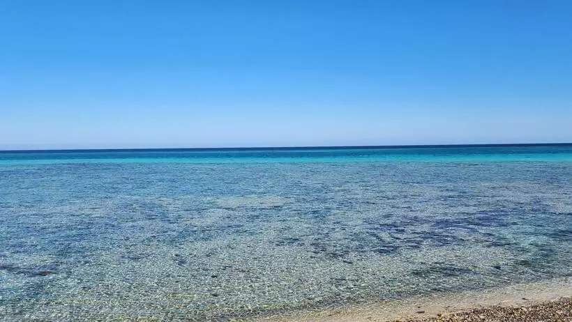 پانسیون Rayhana Guest House