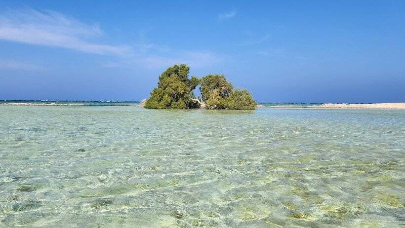 پانسیون Rayhana Guest House