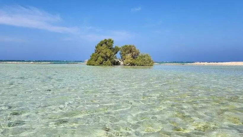 پانسیون Rayhana Guest House