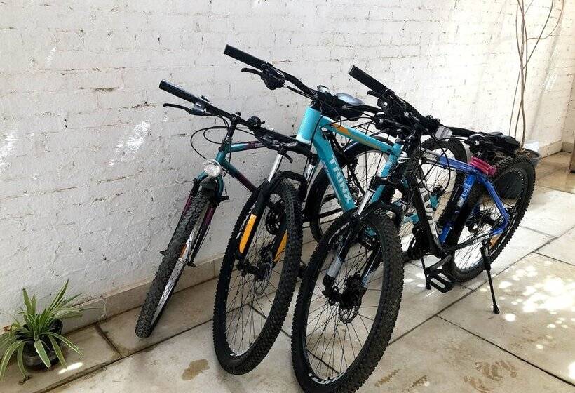 پانسیون Rayhana Guest House