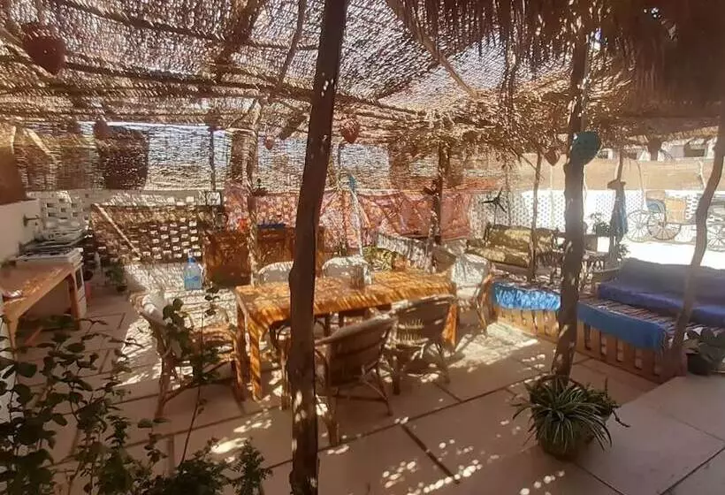 پانسیون Rayhana Guest House