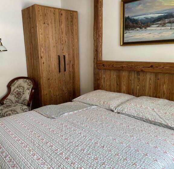 پانسیون Penzion Brnenka