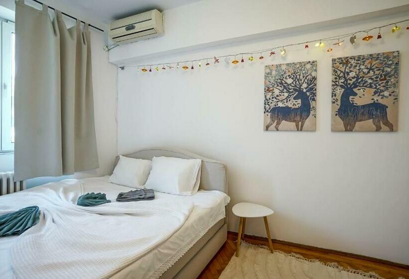 Apartament Universitate   Centrul Vechi