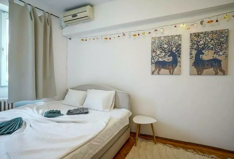 Apartament Universitate Centrul Vechi