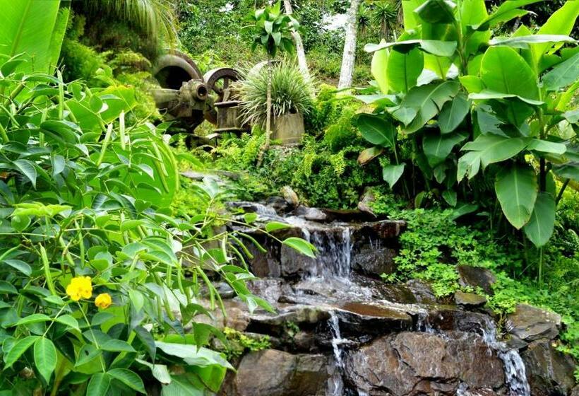 فندق Finca Hamburgo La Ruta Del Cafe