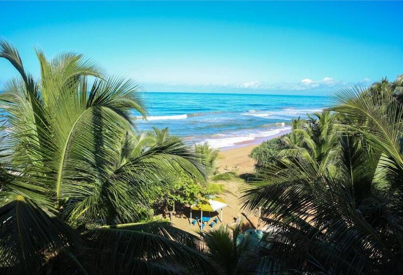 Hôtel Oasey Ayurveda