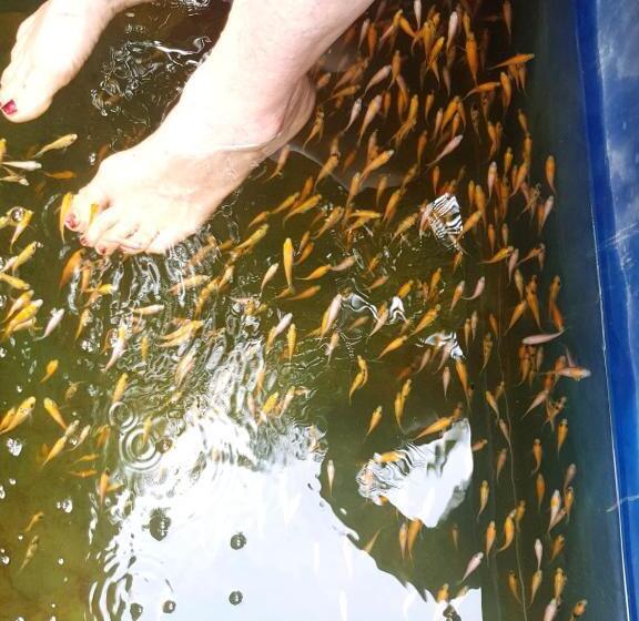 Hôtel Oasey Ayurveda