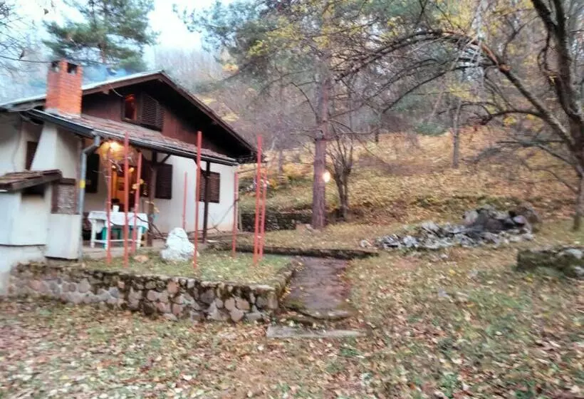 вила
