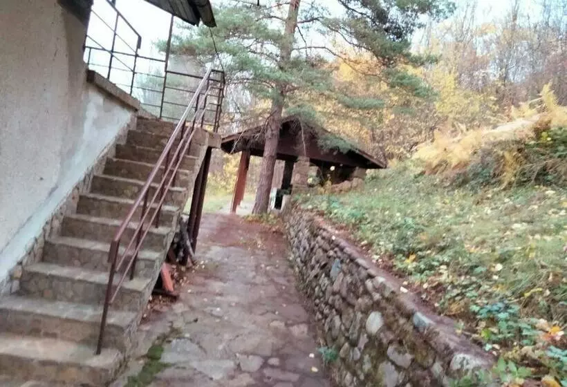 вила
