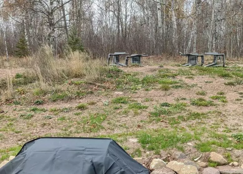 Cozy Bear Den   Sauna New Kitchen Fireplace Large Tv Wifi Indoor Sauna