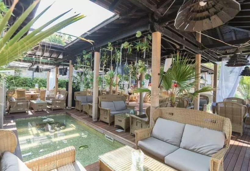 Oasis Resort & Spa Cozy Studio