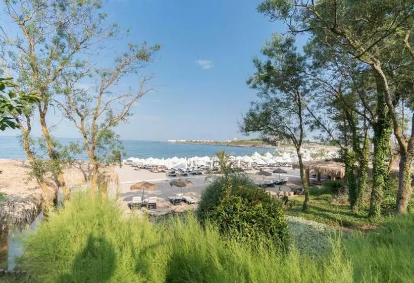 Oasis Resort & Spa Cozy Studio