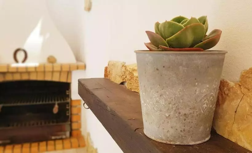 Estrelinha Da Fuzeta