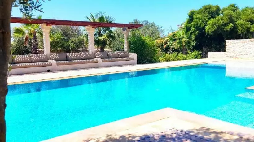 Les Ailes Du Sourire