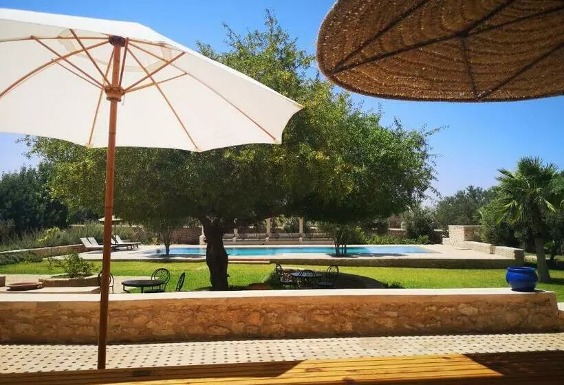 Les Ailes Du Sourire