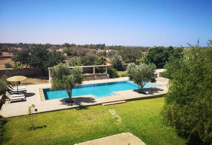 Les Ailes Du Sourire