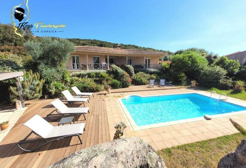 Villa 125m2 6/8 Pers Trinité De Porto Vecchio Piscine