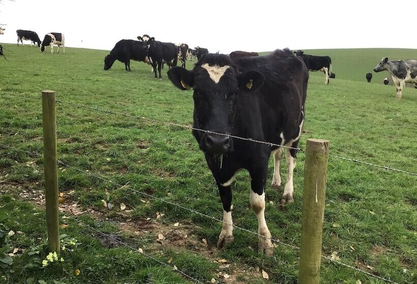 Cozy Camborne Studio Retreat With Two Single Beds